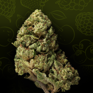 Halle Cherry - Fruity Indica med Højt THCA indhold