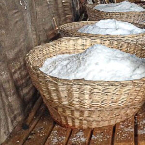 Læsø Salt