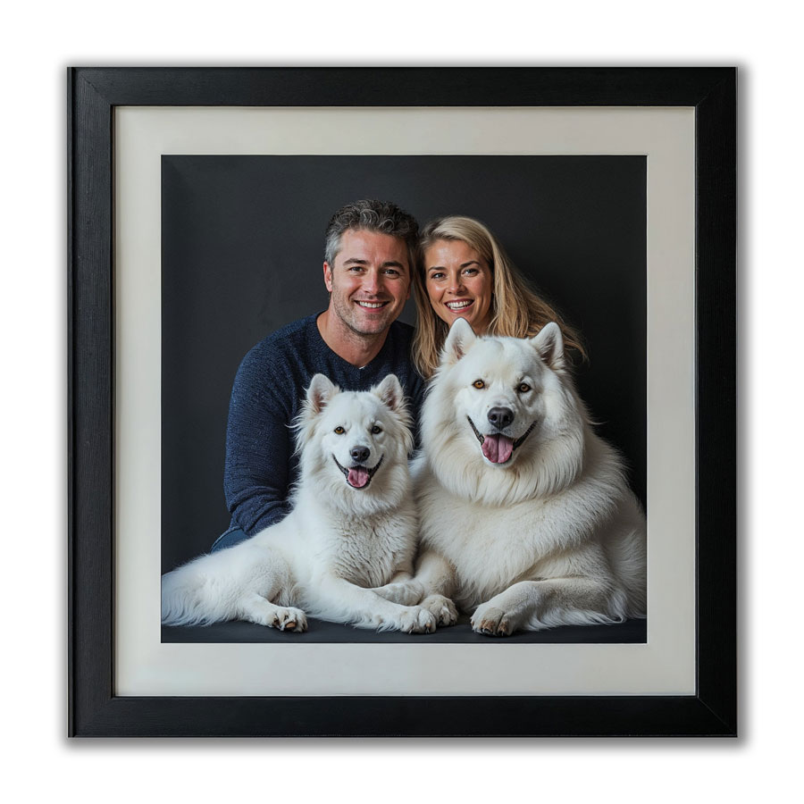 Hundefotografering - Billede 4