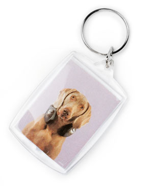 Hundefotografering - Billede 5